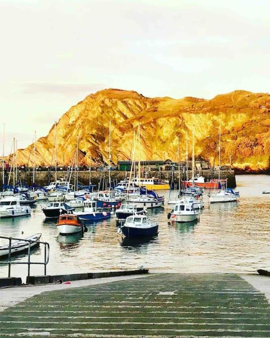 Paramount Apartments Ilfracombe, Arty Seaside Holiday Apartments Bagian luar foto