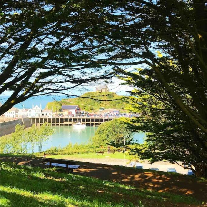 Paramount Apartments Ilfracombe, Arty Seaside Holiday Apartments Bagian luar foto