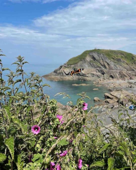 Paramount Apartments Ilfracombe, Arty Seaside Holiday Apartments Bagian luar foto